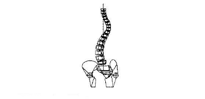 scoliose adolescent ostéopathie proostéo