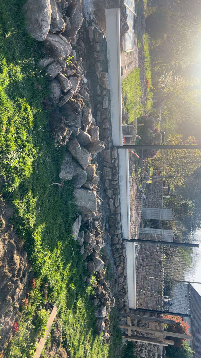 img_029520251025-2372809-8dmsfl