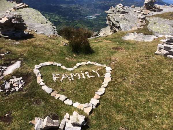 Logo Nathalie Sejournet & Régis Basque Logo Nathalie Sejournet & Régis Basque