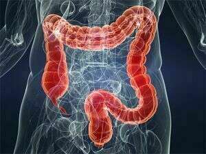 A l'aide! mes enfants ont des vers !