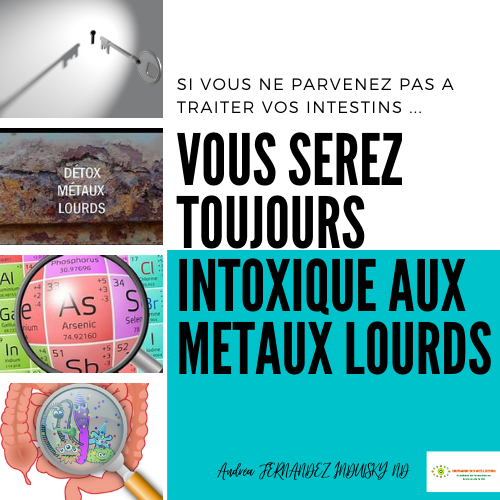 Pour détoxifier votre organisme, traitez d'abord vos intestins !