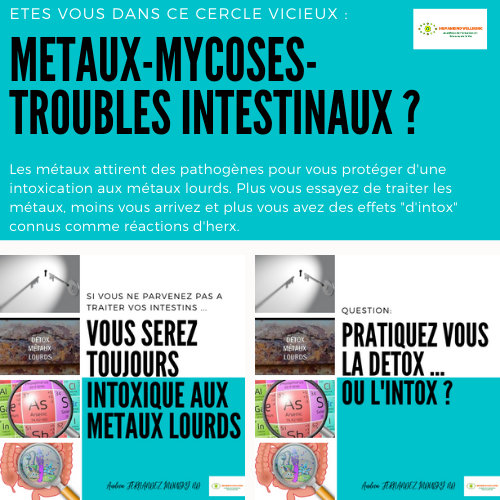 Plus vous essayez de traiter les métaux, sans traiter la perméabilité intestinale et les pathogènes co-existants, plus vous rentrez en intox (intoxication).