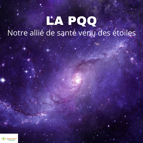 Les mitochondries et la PQQ