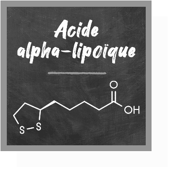 L'acide alpha lipoïque