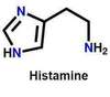 Régime Bi-Phasique pour l'intolérance à l'histamine