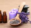Piqûres d’insectes naturopathie