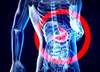 Thème : microbiote intestinal et neurotransmetteurs