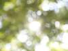 Bienvenue sur le site de Centre de Thérapie Narrative de Provence