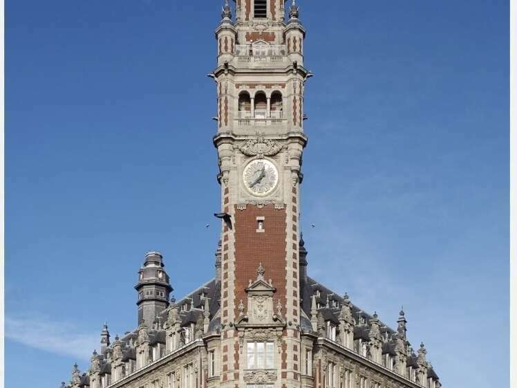 img_233620250213-3325872-1sax377