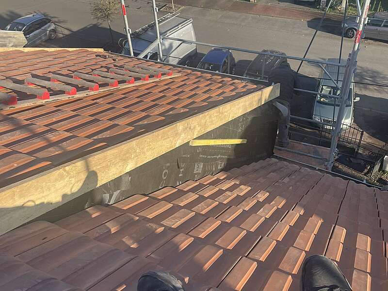 img_681720250213-3317861-1eg36hh