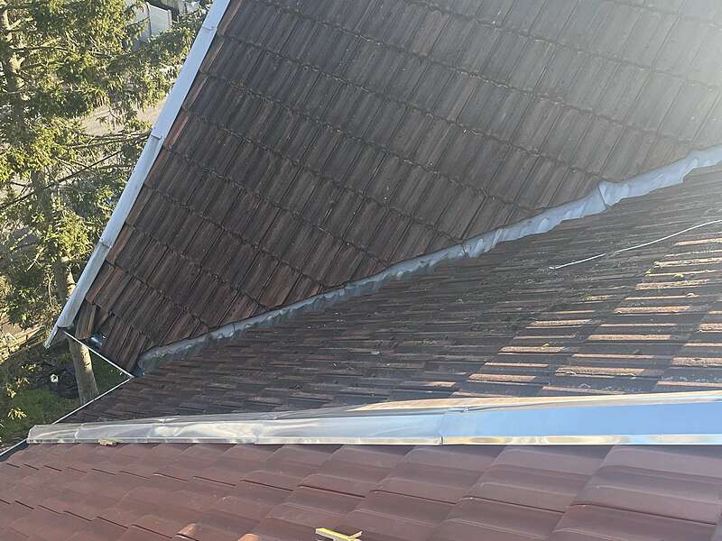 img_681920250213-3331110-ckbq3v