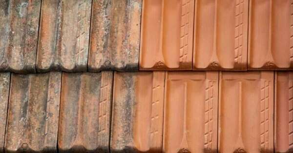 Découvrez comment préserver votre toit avec peinture et revêtement