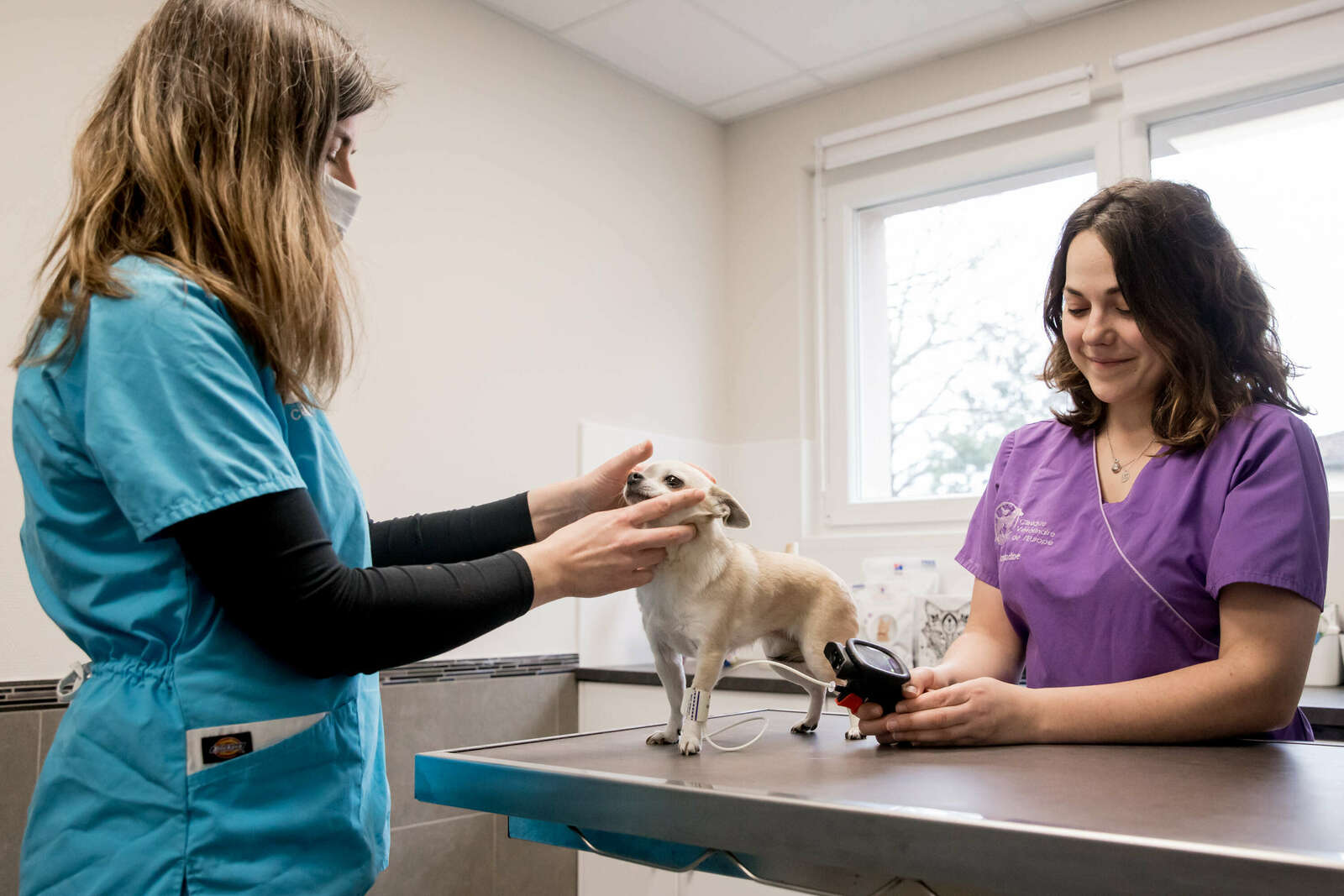 Nos services Clinique Vétérinaire de l'Europe,