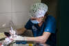 Dentisterie - Clinique Vétérinaire de l'Europe