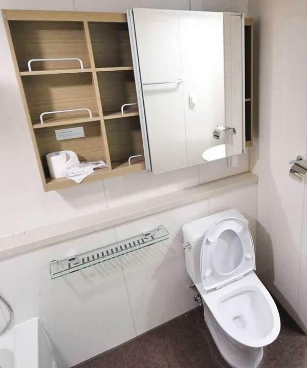 détartrage de toilette Villeroy et Boch à Paris