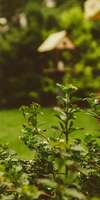 AM Jardin, Création et aménagement de jardins à Plougastel-Daoulas