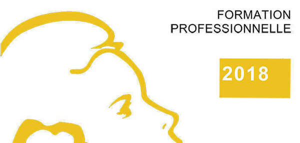 Réforme de la formation pro : un « big bang » annoncé