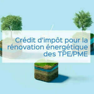 Crédit d’impôt pour la rénovation énergétique des TPE/PME