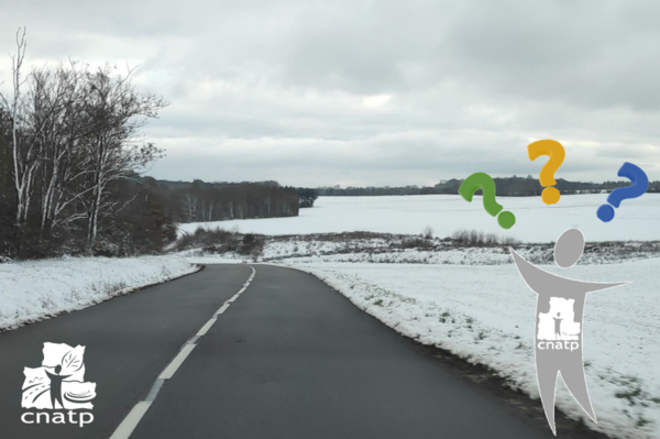 Windy et météociel désignés les meilleures appli de Prévision météo pour vos chantiers !