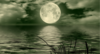 La pleine lune éclaire les eaux du marais : un miroir pour accueillir ce qui remonte à la surface et poser un rituel de libération.