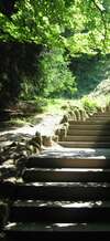 Escalier en pierre dans un environnement naturel, évoquant un chemin intérieur vers un espace plus serein.
