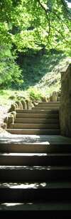 Escalier en pierre dans un environnement naturel, évoquant un chemin intérieur vers un espace plus serein.
