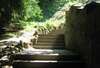 Escalier en pierre dans un environnement naturel, évoquant un chemin intérieur vers un espace plus serein.