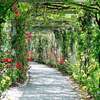 Chemin dans un jardin représentant une période de découverte et d'évolution personnelle.
