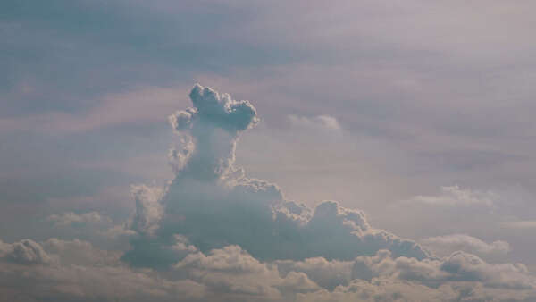 Forme animale dans un nuage évoquant la perception et le langage symbolique