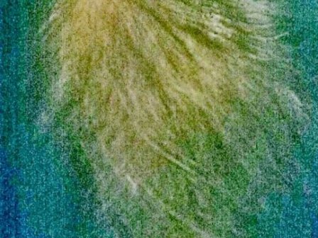 Après quelques séances et mois