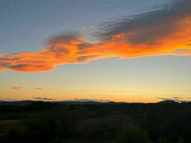 photo-2023-08-09-12-39-29