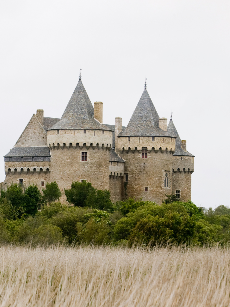 portrait_34_-_nice__1_