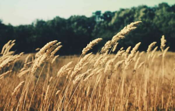 Comment se booster le matin en quelques minutes !