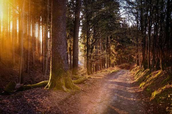 interview L'optismisme.com : Lara de Happy Yoga:”je fais de mon mieux pour transmettre ma lumière.”