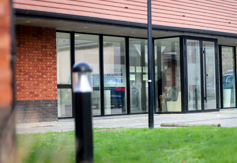 img_066920221130-1414937-1p7d2ai