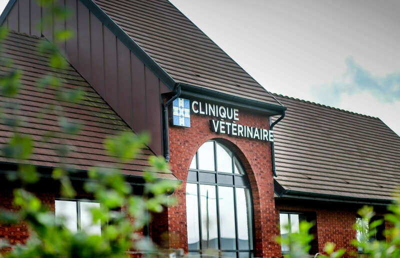 img_067820221130-1341054-ej7c8j