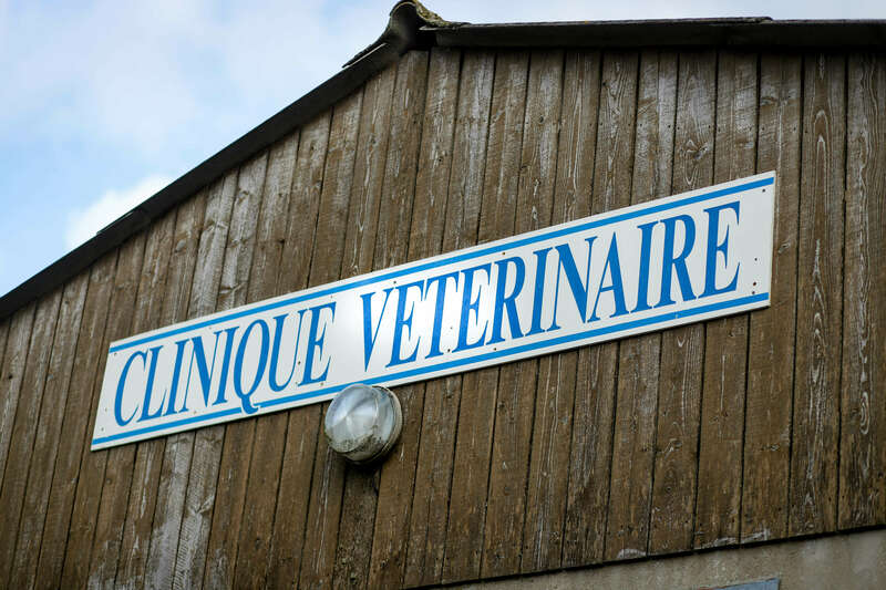 img_067420221130-1414937-1shg9pq