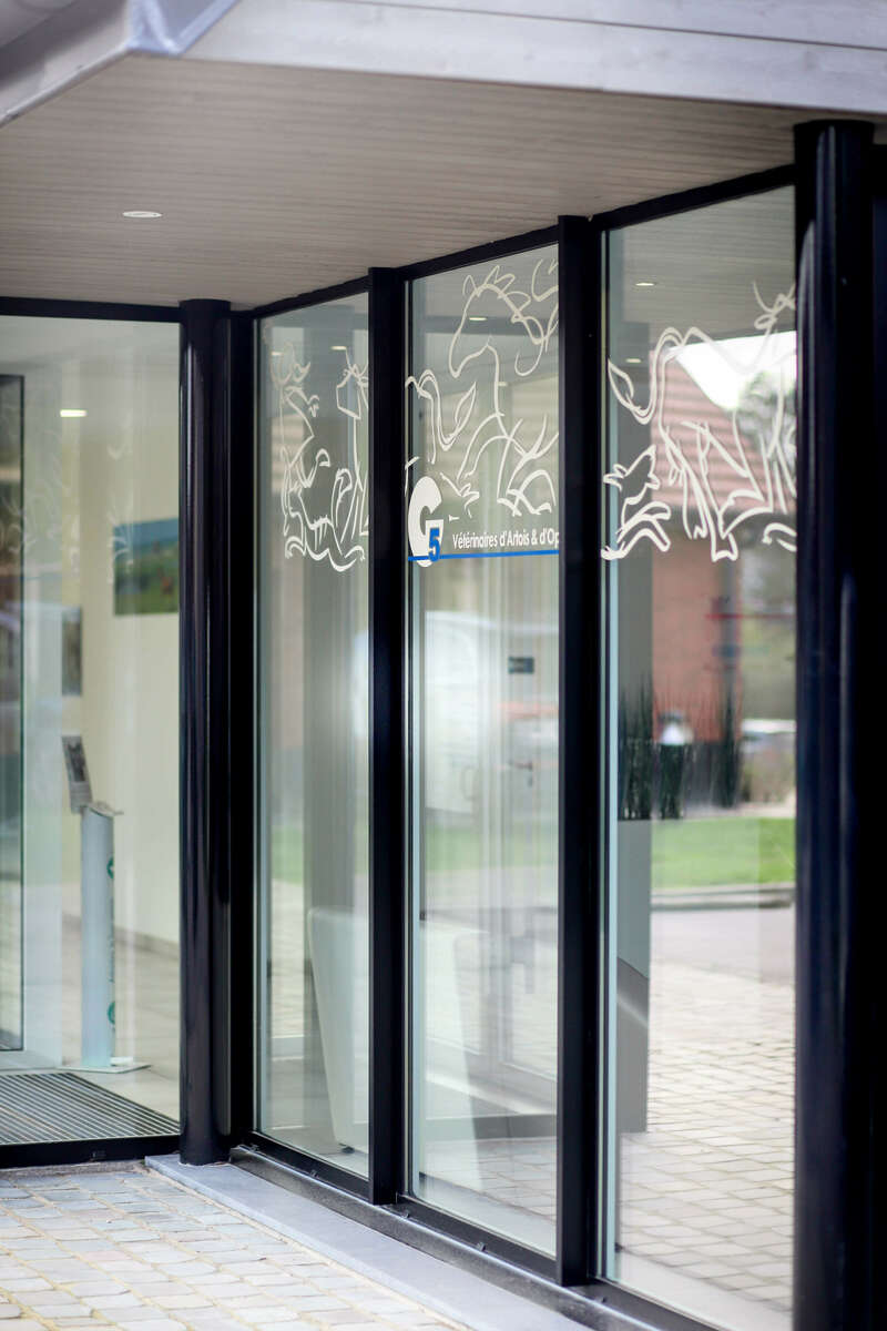 img_067120221130-1414937-1w30guk