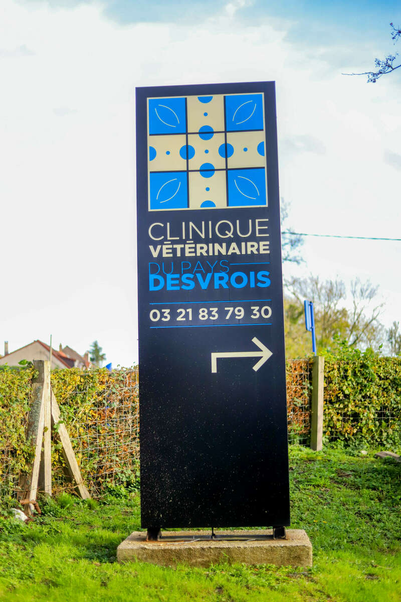 img_095020221130-1398938-19uzc5f