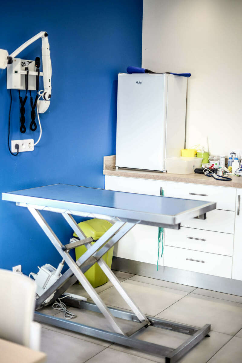 img_068820221130-1398938-1uwv8t0