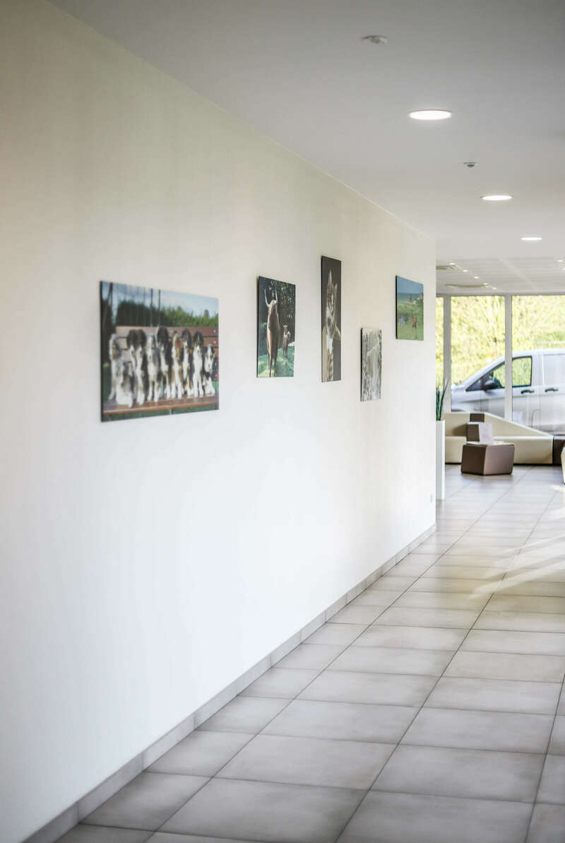 img_069020221130-1341054-1shg9pq