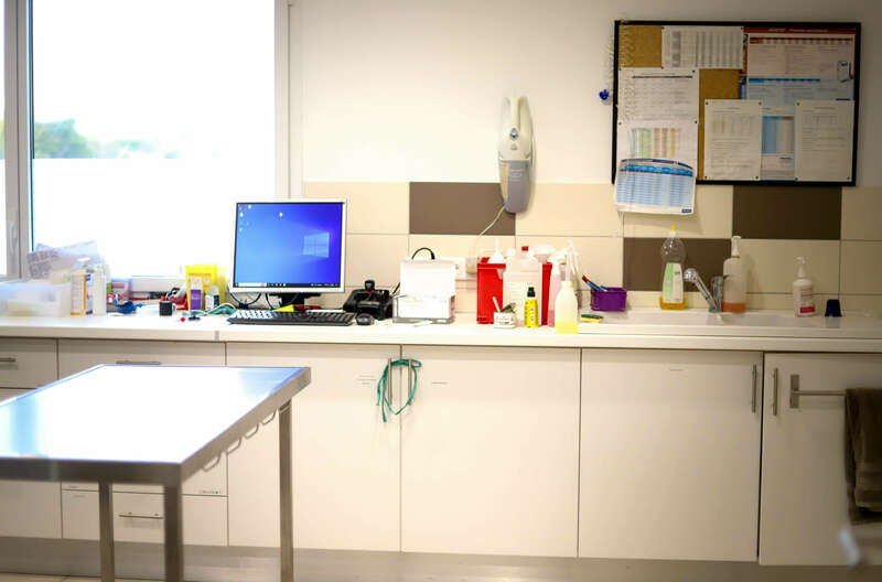 img_085420221130-1414937-z2wk23