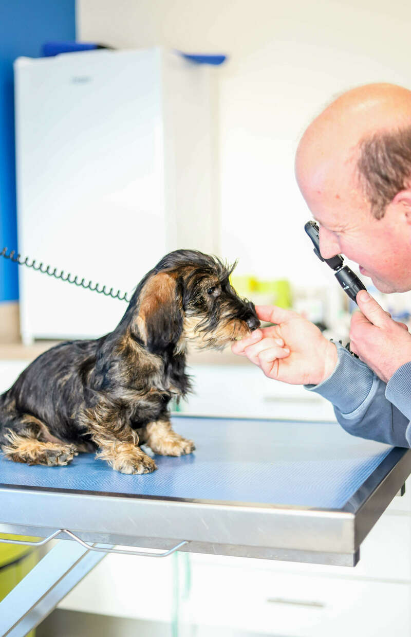 img_073620221130-1341054-191ce7r