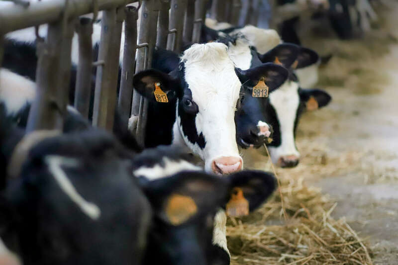 img_171920221130-1341054-dd5zv6