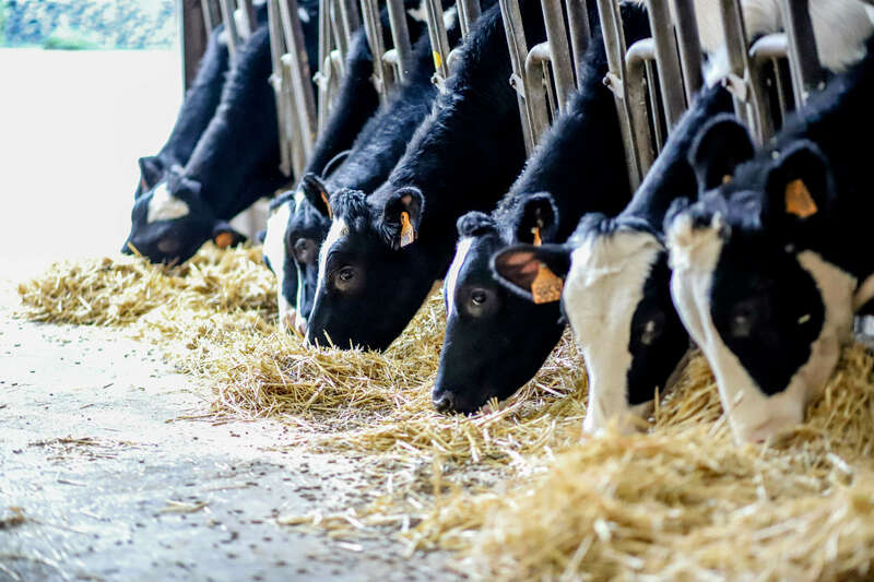 img_170620221130-1414937-191ce7r