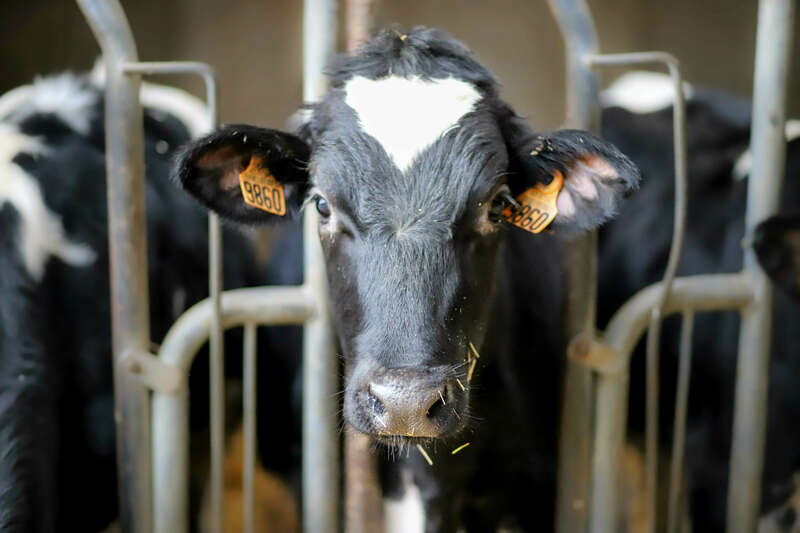 img_169920221130-1398938-lzqtgy