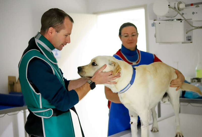 img_095520221130-1398938-1uuh94w