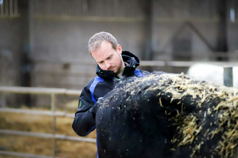 img_171720221130-1398938-12ux2fg