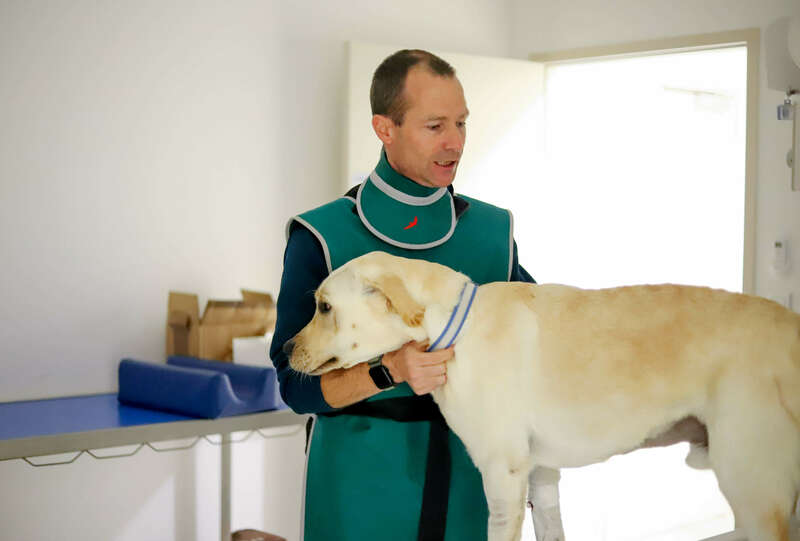 img_096720221130-1398938-140j8ik