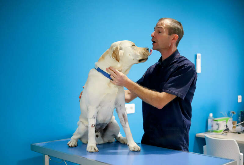 img_097720221130-1398938-chbnsu